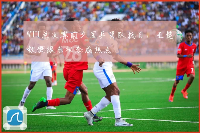 WTT总决赛前夕国乒男队抵日，王楚钦樊振东状态成焦点 - 澳客网推荐