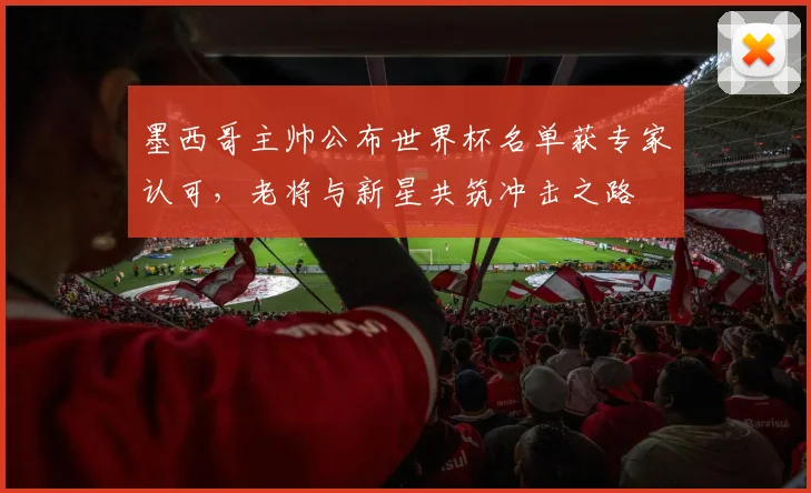 墨西哥主帅公布世界杯名单获专家认可，老将与新星共筑冲击之路 - 澳客网推荐